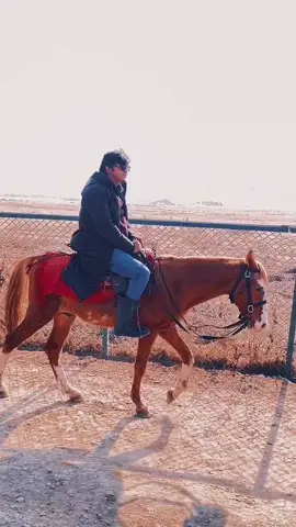 #CapCut Horse Ride in Kashmir #nsk_ontor 