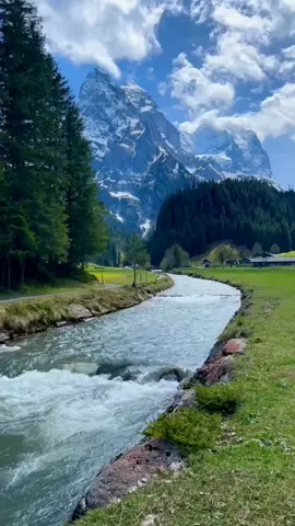 أنشودة جميلة وهادئة مع مشاهد الطبيعة #سبحان_اللہ #الطبيعة_عشقي #الطبيعة_الخلابة #الطبيعة_الساحرة #الطبيعة_الخلابة،🌹☘🍁 #tiktoklongvideo #tiktiklong #tiktokaraba #tiktokarabe #tiktokarabi #foryou #pyf #pyfdong 