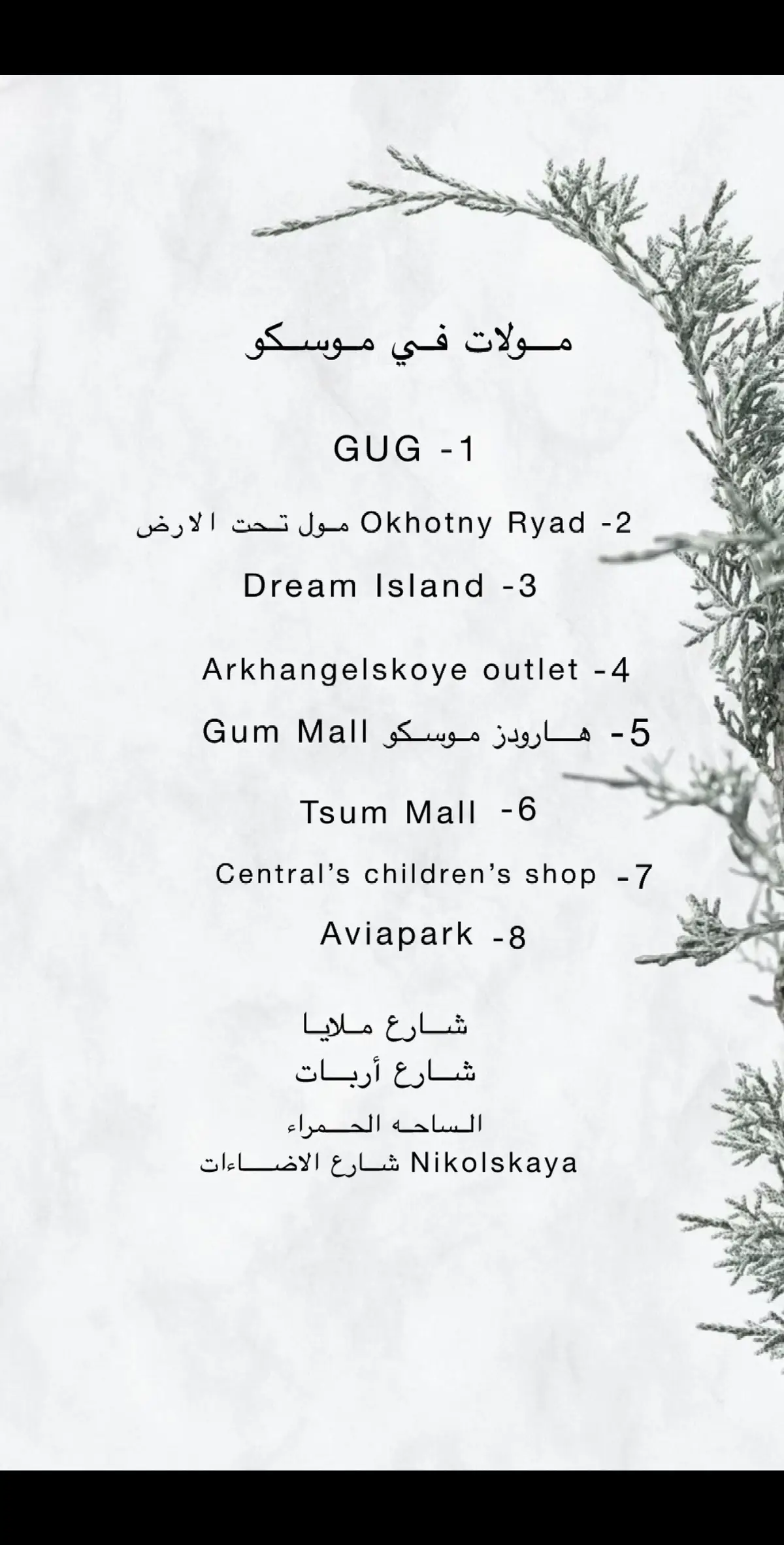 جمعت لكم كل الاشياء المهمه | سفره سعيده ✈️☃️ #موسكو #جدول_موسكو #اكسبلور #سفر #foryou #fyp #moscow #روسيا 