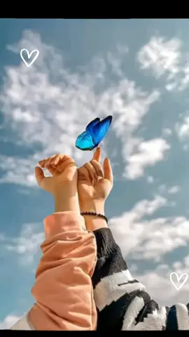 #صديقتي_سعادتي #صديقتي_نبض_قلبي #صديقتي_و_ستبقى_صديقتي #صديقتي_توام_روحي🥺🦥 #صديقتي_حبيبتي🦋🥺🤍 #صديقتي #عملولي_أعادة_نشر🥺 #ممكن_متابعه_الحساب #صديقتي_توام_روحي🦋💕 