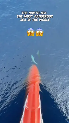 The most scary ocean ! 😱 #big #ship #bigwaves #ocean #northsea #storm #dangerous #scary 