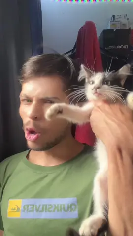 Barulho de animais em inglês #fy #foryoupage 