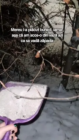 #fyppppppppppppppppppppppp #fypシ 