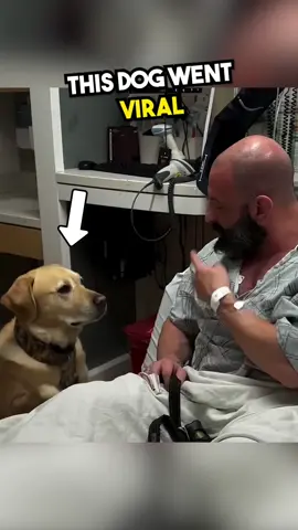 Best Dog Ever... 🥹❤️ #fyp #heartwarming #wholesome #dog #bestfriend 