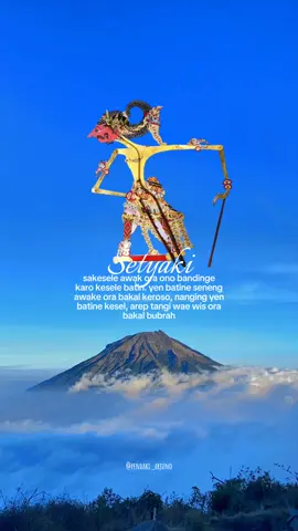 #radensetyaki #setyaki #wayang #jawatimur #fyp 