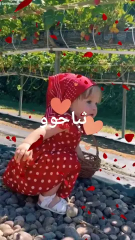 صباح الخير ،@مشاعر   #صباح_الخير🌻🌹 #صباحياتي🌸🎼 #صباحوووو_عسل  #صبااح______________الخييير🌹❤️ #حالات_صباحية #حالات_صباحيه #حالات #ستوريات #عرب #حالات_تكتوك #حالات_واتس  #السعودية_الكويت_مصر_العراق_لبنان #tiktok #fyp  #story 