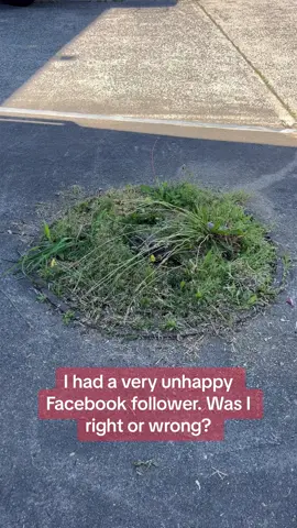 Was I right or wrong? #fyp #customerservice #nathanslawnsandgardens 