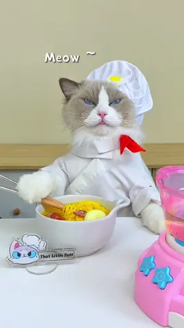 🐱🍝 Puff’s noodle toy playtime! Twists and turns of fun. #ThatLittlePuff #playfulkitten 