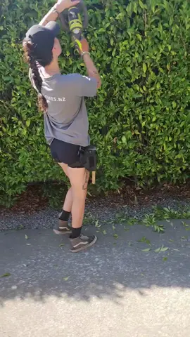 more trimming, all the gear and no idea. #workinghard #working ##fyp #yardbarber #gardenbarber #hawkesbay #foryoupage 