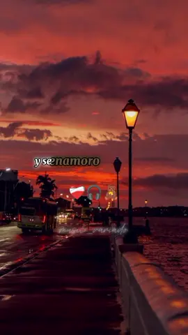 Fue mi media mitad 🎧🎶🌕#viral #parati #contenido #salsaromantica #salsabaul #buenasalsa🎺🎷 #capcut #tiktok #dedicar #?🎶?