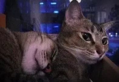 solo tu... #solotunanpa #nanpabacico 