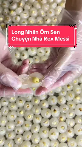 Long Nhãn Ôm Sen Chuyện Nhà Rex Messi ở Hưng Yên được sản xuất sạch sẽ thế nào ?  Tết này mà có món Long Nhãn đón Tết thì hết ý. #monngonngaytet #chilltieccuoinam #vequeantet #giadinh #longnhan #longan #longnhansayhungyen #longnhanomsen #longnhanomsenchuyennharexmessi #chuyennharexmessi 