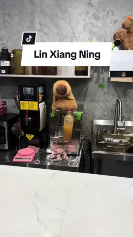 lmaoaooa this was worth it just for the capybara shaking my $10 lemon tea lololol  #foodreview #FoodTok #torontotiktok #asianfood #asiancuisine #lemontea #punchinglemontea #xhs #xiaohongshu #chinesefood #chinesedrink #littleredbook #fyp #foryou 