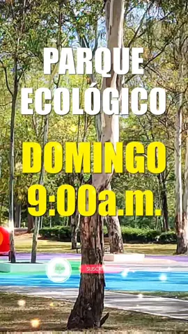 ¡Ahí nos vemos! Parque Ecológico 9am. #aurora #puebla #yoga #meditaciónguiada #parqueecologico  #domingo #mañana 