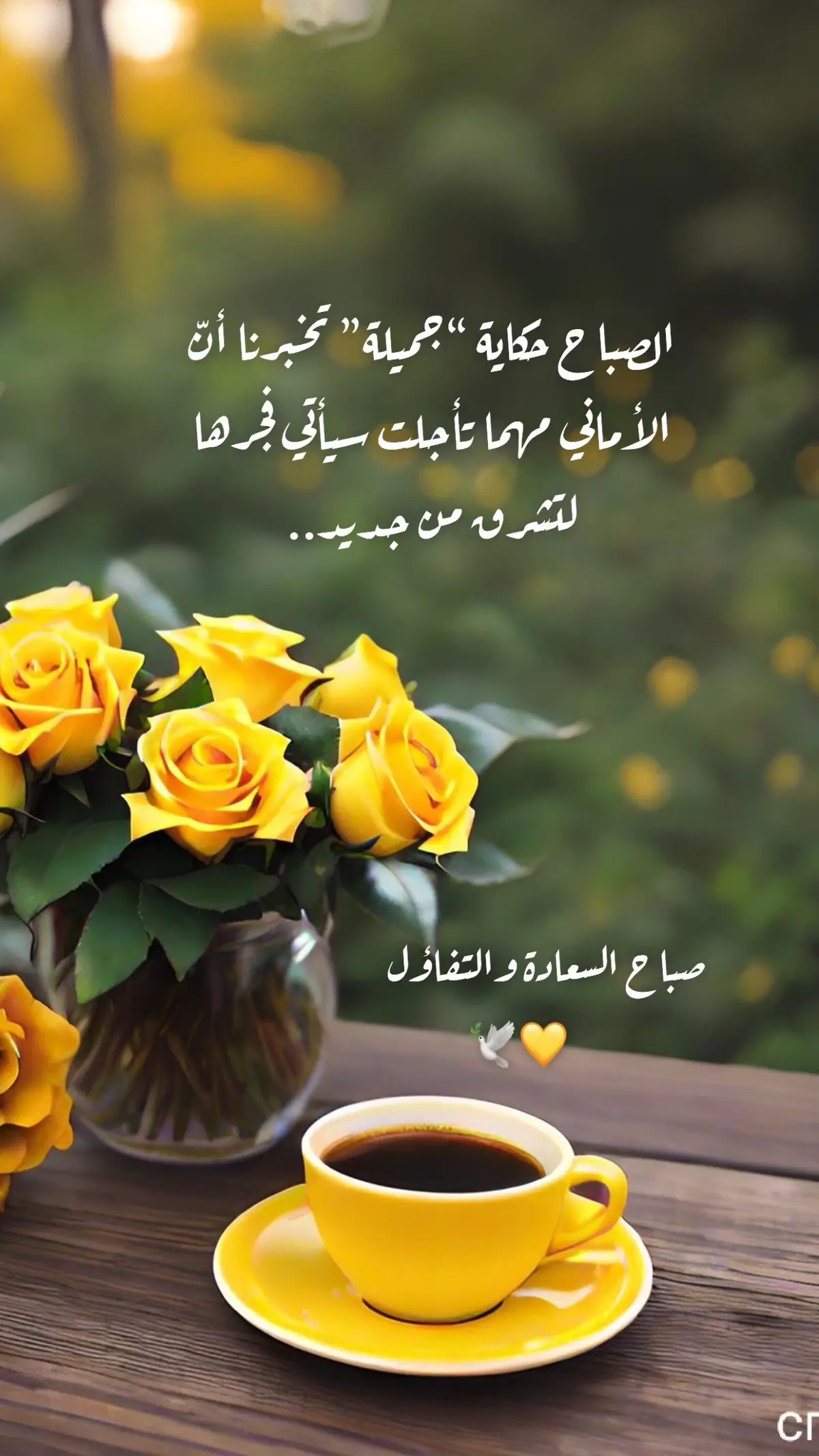 صباحكم جميل  كجمال قلوبكم💛🕊️