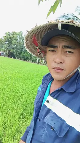 đời nhà nông .cực mà vui.bt vv các bạn.các a chị cô chúc chúc sức khoẽ🌷🌷🌷🌹🌹🌹