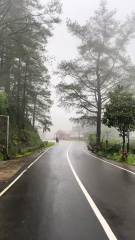 Back 🙏 #aesthetic #malino #jalan #kabut #celebesaesthetic #fypシ #fyp #gamon #missyou #gowa #sinjai #makassar #sulawesiselatan 