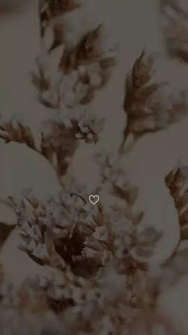 #کانوا_قلیلا_من_اللیل_ما_یهجعون _#قورعانی_پیرۆز #ema4n0 #اللهم_صل_وسلم_على_نبينا_محمد💙ـ #foryoupage #foryou #fypage 