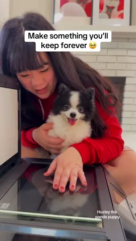 Huxley is just happy to be involved 🥹 I want to create more of these moments and keepsakes. I don’t know if I’m the only one, but I think Huxleys paws are the cutest little mittens ever.  We left the lid off of the printer/copier and it was fine as long as i didnt lean too far forward. It might take a little focus from your dog to hold still, but its a fair easy DIY to create some paw print art decor.  ##pandapuppy##cutedogs##DIY##handprint##pawprint##copier