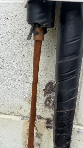 Dirty, rusty water from the solar water panel. #plumber #plumberlife #theplumberguy #serviceplumber 