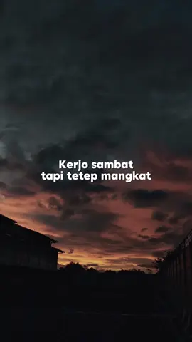 persambatann #sambatanpekerja #kulipabrik 
