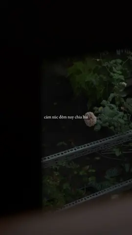 bài này gì cuốn thế?