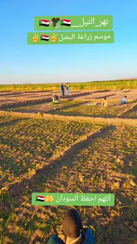 #موسم_زراعة_البصل🦅🇸🇩🦅🇸🇩🦅🇸🇩🦅 #ولاية_نهر_النيل_شندي_الدامر_عطبرة_بربر  🇸🇩✌️🇸🇩✌️🇸🇩✌️🇸🇩✌️🇸🇩✌️🇸🇩✌️🇸🇩✌️ #اللهم_احفظ_السودان 🤲🇸🇩🤲🇸🇩🤲🇸🇩🤲 #السودان_في_قلوبنا_____________🇸🇩✌️  #اللهم_وحد_صفوف_المسلمين🤲🤲🤲🤲 #الشعب_الصيني_ماله_حل😂😂 