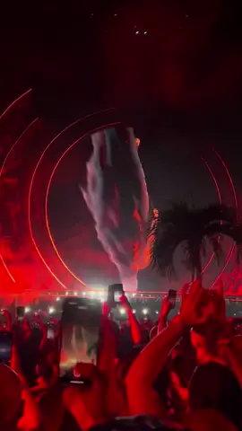 #afterlife x #zamnatulum 🌱🎉 Enjoy ✨ #fy #fyp #viralvideos  #foryou #melodictechno #djs #viraltiktok #techno #technomusic #afrohouse #fypシ #zamna #tulum #zamnamusic #zamnafestival #zamnatulum2024 #anyma #mrak #taleofus #tou 