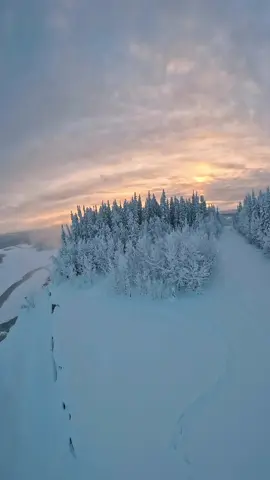 #livewallpaper #wallpaper #wallpapers #hdwallpaper #4klivewallpaper #snowycanopy #treetopsnowfall #winterforestflight #aerialsnowscape #frostywoodland #canopyflyover #snowladenforest #winterwonder #arboralsnowfall #woodlandflight #snowytreetops #forestaerialview #winterwoodlandmagic #frostyoverhead #winterbeauty #snowycloudforest #woodlandoverflight #winteraerialviews #snowcoveredtrees #forestflightscene 