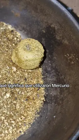 así se ve una bola de oro que fue amalgamada con azogue #mineria #extrayendooro #parati #oroderio #azogue 