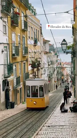 this street is so beautiful 😭🫶🏼 #fyp #foryou #portugal #lisbon #lisboa #travel #🇵🇹  #lisbontram #aesthetic #naturethroughmylens #tram #elevadordabica