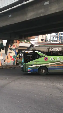 Duo bus ALS 💚💚💚💚🚌🚌😎 #busals #busalsmania #busalslovers #busmania #busmaniacommunity 