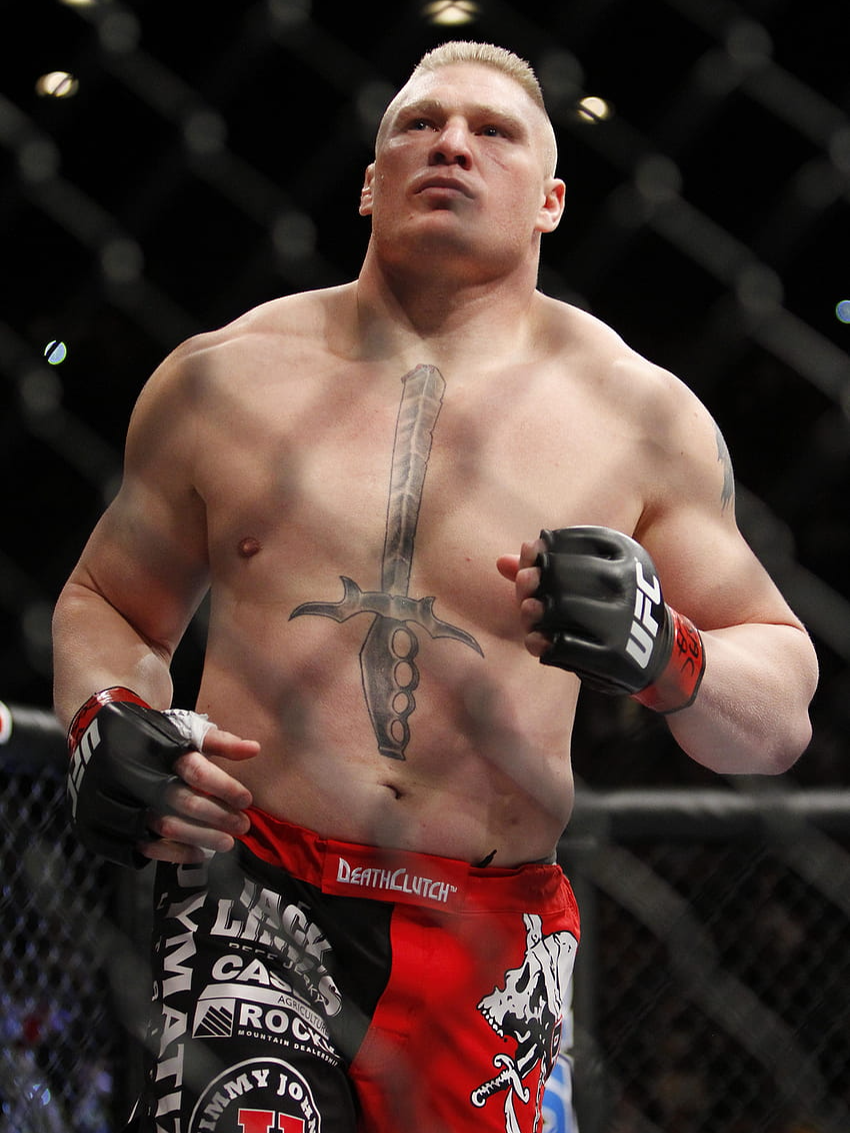 Brock Lesnar 🥊 #UFC #mma #ko #edit #fight #lesnar #brocklesnar #WWE #viral #fyp