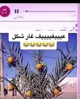 عفيف غير شكل  #عفيف #اكسبلور #اكسبلورexplore #ترند #تيك_توك 