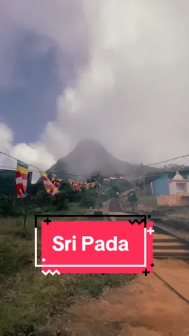 Sri Pada Vandana 2024 - Kuruwita Erathna #CapCut #fyp #fypシ #fypシ゚viral #capcut_edit #naturevibes #travelsrilanka🇱🇰 #srilanka #travelvibes❤️ #traveltiktok #travellife #travelvlog #trendingtiktok #sripadaya #adamspeak 