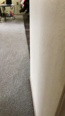 I dont think he gets it 😅