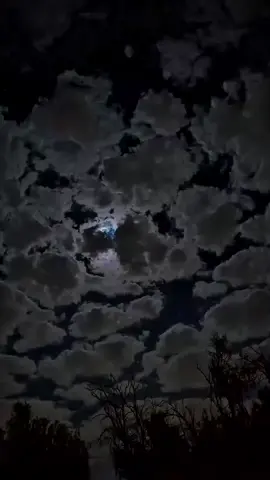 لوحدي طب ومالو خلاص انا مش محتخالو اخ يالوس اخ ♥️🌹@elissaofficial @Elissa | اليسا @💥ElissaxNetflix25✨ @akramchaid #شعب_الصيني_ماله_حل😂😂 #GamingOnTikTok #اكسبلورexplore 