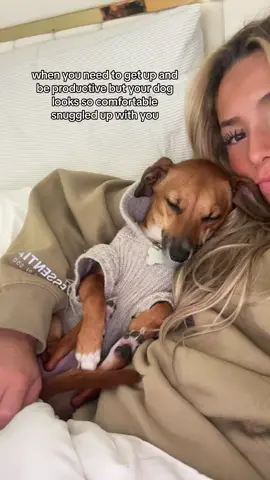 shes so cute i cant #dogmom #dogtok 