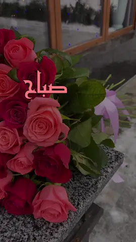#صباحكم_أحلى_صباح🌹🌹 