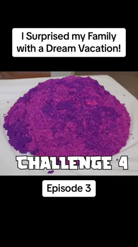 l Surprised my Family with a Dream Vacation! Episode 3 #royaltyfam #royaltyfamily #royalty #royalfamily #rotifam #royal #familyvlog #challenge #firestclass #family 