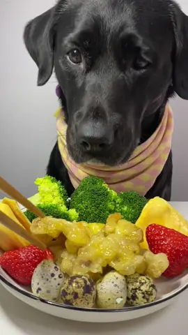 Don Don eats quail eggs, strawberries, broccoli and jackfruit #dogeat #dog #eat #eating #mukbang #foryou #tiktok #fyp #dogitaly 