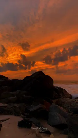 සුරඟන වීණාවී 💆🏻‍♂️🧡🍃 #srilanka #bentota #fyp #foryourpage #moments #fypシ゚viral #trendingvideo #momentsofliving #viral #trend #nostalgia #fyppppppppppppppppppppppp #sunset #suraganaweenavi 