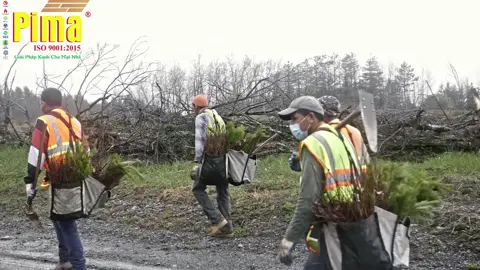 Giới Thiệu Kích Thước Cửa Composite Pima