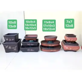 Combo 10 chậu bonsai cây cảnh sen đá gốm bát tràng. #dammecaycanh #hdbonsai #chaugombattrang 