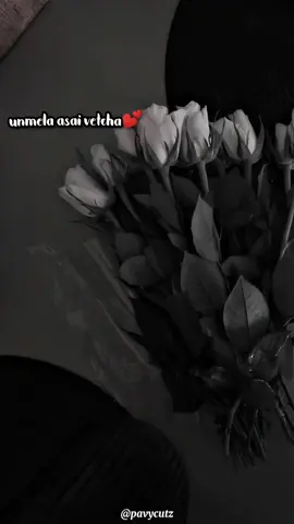 Unmela asai vetcha💕 #pavycutz #enmachan #hervinsonglover #hervin #malaysiantamilsong #nightvibes #rainingvibes #soulfulmusic #soothingvoice #pavitrashanmugam 