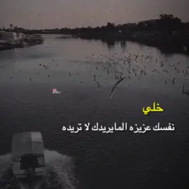 #شعب_الصيني_ماله_حل #بغداد_بصرة_موصل_الكويت_الخليج_دبي_ #حله_سماوه_النجف_ناصرية_كربلاء #باقر_السلمان #شيخ #فاتي_روز #حيدرسي #تماسيح والاية_بطيخ #مشاهير_تيك_تو #مشاهير_العالم #مشاهير_العراق 