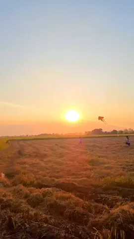 Quê hương là con diều biếc,  Tuổi thơ con thả trên đồng,  Quê hương là con đò nhỏ,  Êm đềm khua nước ven sông... Quê hương nếu ai không nhớ,  Sẽ không lớn nổi thành người... #quetoi #menhmongvamcodong #vamcodongfood #songnuocmientay #nhachaymoingay #thinhhanh 