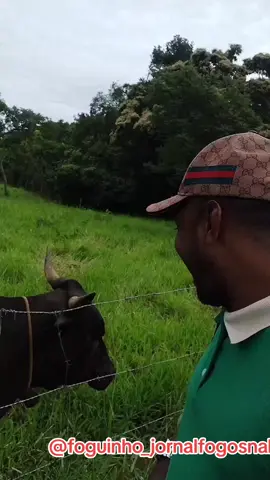 eu te avisei manhoso