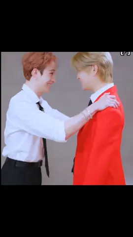 their gaze 🐺🐶😍 #bangchan #seungmin #seungchan #wolfppy #chanmin 