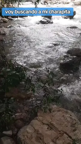 navegando contra la corriente voy buscando a mi charapita # internacional yurimaguas #parati #fouryou #charapita🇵🇪😁 